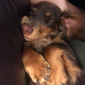 Meet your Posher, Joshua